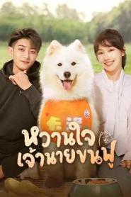 My Precious (2023) หวานใจเจ้านายขนฟู – Eps