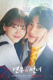 Head Over Heels (2025) หนุ่มดวงจู๋กับหมอดูคนจ๋วย