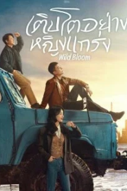 Wild Bloom (2022) เติบโตอย่างหญิงแกร่ง – Eps