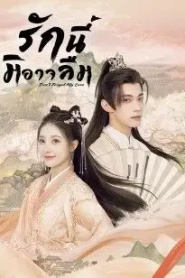 Don’t Forget My Love (2022) รักนี้มิอาจลืม