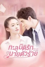Fall In Love In The Book (2022) ทะลุมิติรักนายตัวร้าย