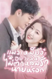 My Cat-astrophic Lover (2022) แมวเหมียวอย่างฉันไม่ตกหลุมรักนายหรอก