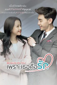 Because of You เพราะเธอคือรัก
