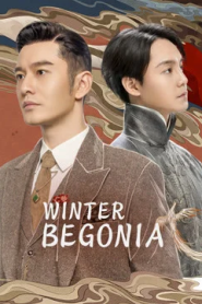 Winter Begonia (2020) บีโกเนียแห่งเหมันต์