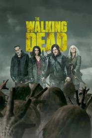 The Walking Dead Season 11 (2021) ฝ่าสยองทัพผีดิบ ซีซั่น 11