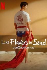 Like Flowers in Sand (2023) ดอกไม้สังเวียนทราย