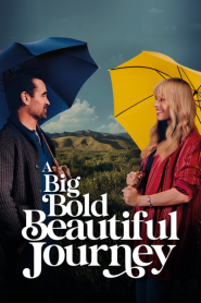 A Big Bold Beautiful Journey (2025)