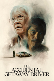 The Accidental Getaway Driver (2023)