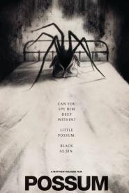 Possum (2018)