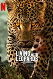 Living with Leopards (2024) อยู่กับเสือดาว