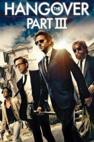 The Hangover Part 3 (2013) เดอะ แฮงค์โอเวอร์ ภาค 3