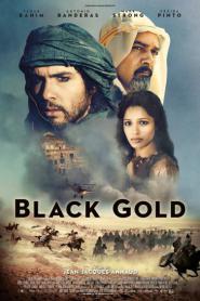 Black Gold (2011) ล่าขุมทองดับตะวัน