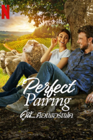 A Perfect Pairing (2022) คู่นี้…คือเพอร์เฟค
