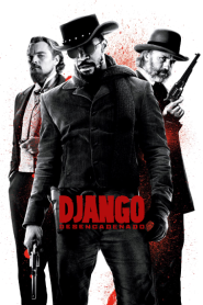 Django Unchained (2012) จังโก้ โคตรคนแดนเถื่อน