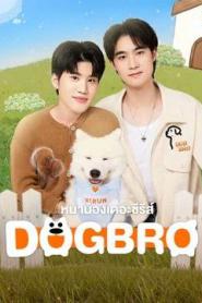 DogBro (2025) หมาน้องเดอะซีรีส์