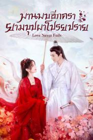 Love Never Fails (2025) พบพานอีกครายามบุปผาโปรยปราย