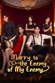Marry to the Enemy of My Enemy (2025) ด้วยรักจากดวงตะวัน