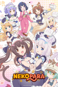 Nekopara ตอนที่ 1 ซับไทย