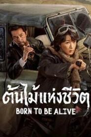 Born to Be Alive (2026) ต้นไม้แห่งชีวิต