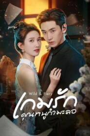Wild & Fiery (2026) เกมรักคุณหนูกำมะลอ