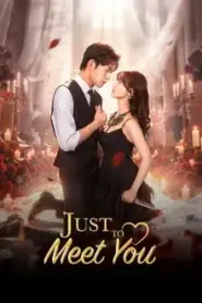 Just To Meet You (2026) บังเอิญพบก็เผลอรัก